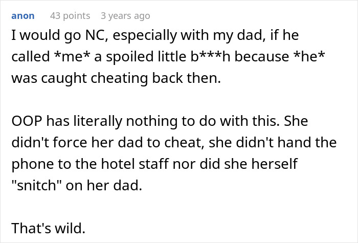 Online comment criticizing a father for blaming Disneyland trip for his own cheating scandal Online comment criticizing a father for blaming Disneyland trip for his own cheating scandal