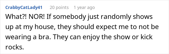 User comment stating guests shouldn't expect a DIL to be wearing a bra at home during unannounced visits.