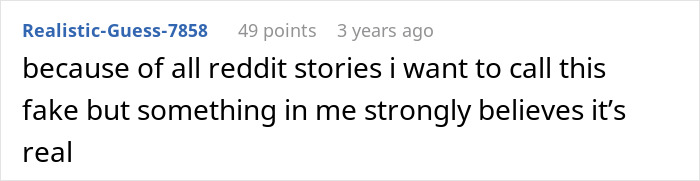 Reddit comment discussing whether the Disneyland family drama story is real or fake. Reddit comment discussing whether the Disneyland family drama story is real or fake.