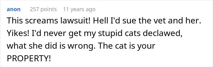 Cat Owner Comes Home To Find Her Pet With Bandaged Paws After Roommate Ignored A Clear &ldquo;No&rdquo;