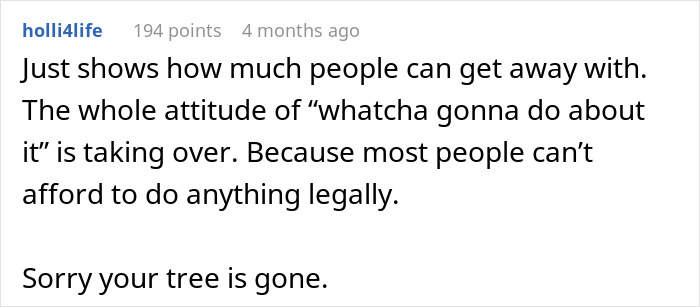 A social media comment discussing the legal struggles of dealing with property damage and lost trees. A social media comment discussing the legal struggles of dealing with property damage and lost trees.