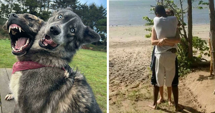 80 Photos Confusing The Eye In The Best Way, And Their Explanations Make Them Even More Amusing