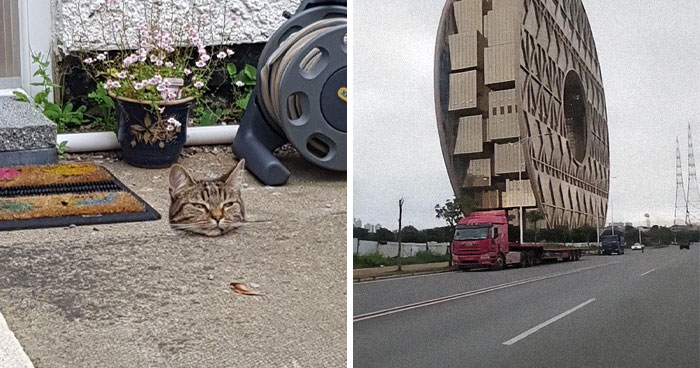 65 Mind-Bending Pictures Where Perspective Plays Tricks On Your Eyes Until You Finally See The Truth