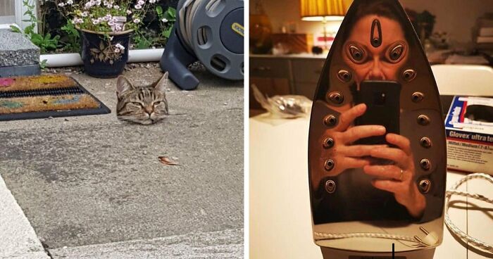 65 Photos So Perfectly Confusing That Even Your Second And Third Look Might Not Be Enough To Get It