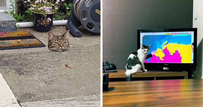 65 Pictures That Might Make Your Brain Short-Circuit For A Second