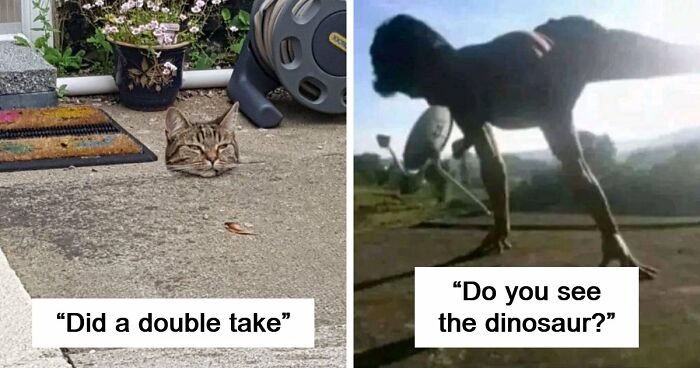 65 Photos So Perfectly Confusing That Even Your Second And Third Look Might Not Be Enough To Get It