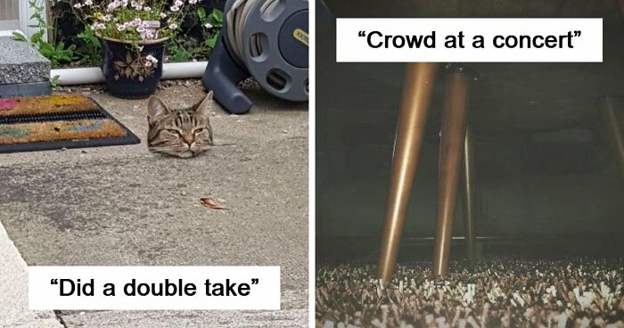 65 Photos So Perfectly Confusing That Even Your Second And Third Look Might Not Be Enough To Get It