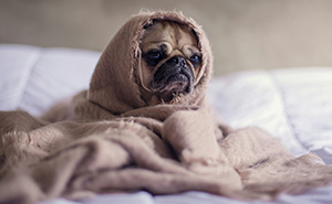 48 Airbnb Stories That Might Make You Very Glad You’re Not The Host