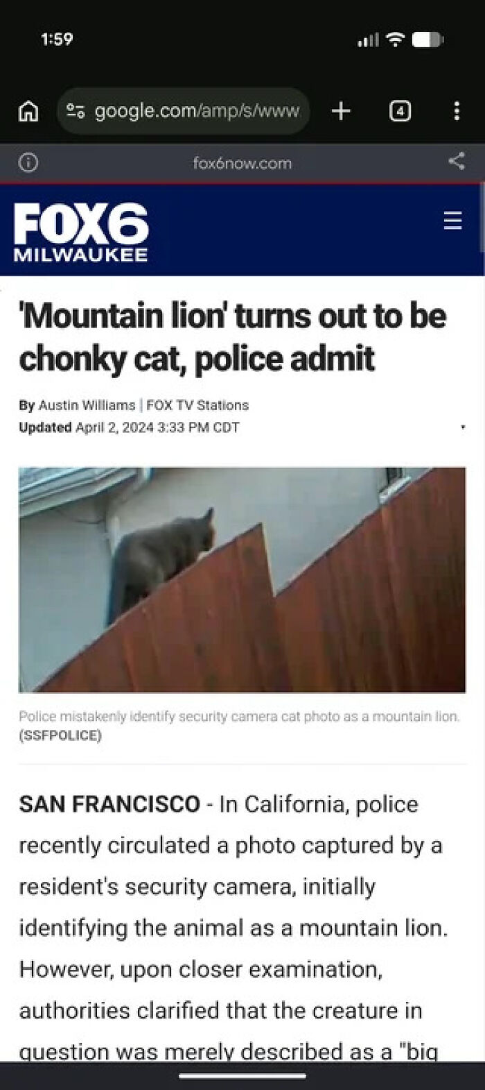 Screenshot of a funny news article about a mountain lion that turned out to be a chonky cat on a fence