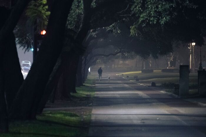 Person walking down a dark foggy street lined with trees creating a spooky setting