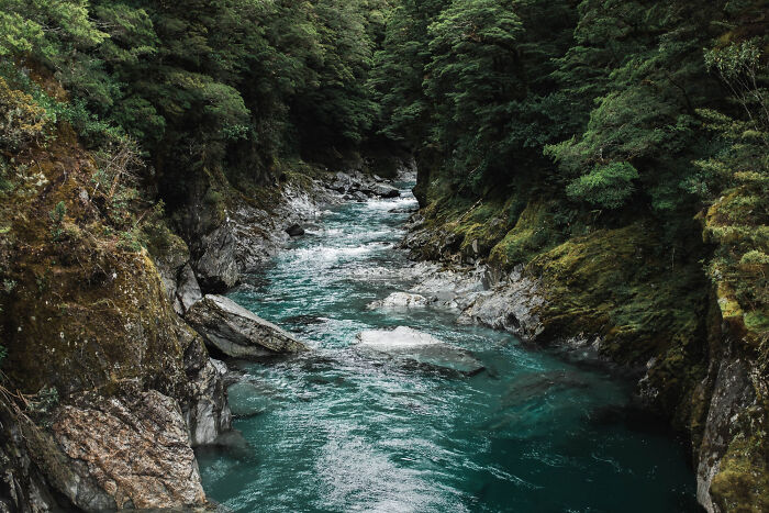 Dark forest river flowing with clear water surrounded by dense trees