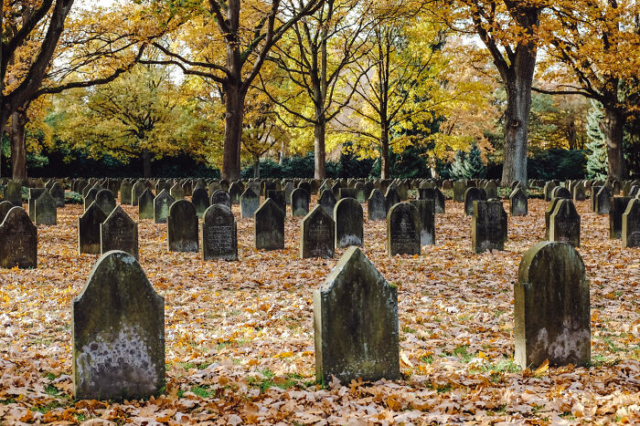 Old cemetery with aged gravestones under trees in autumn season