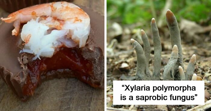 67 Cursed Images That Might Make You Want To Take A Shower With Holy Water