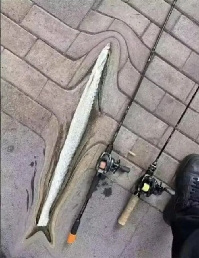 Cursed image of fish camouflaged on patterned pavement near fishing rods.