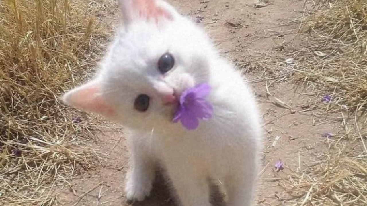65 Adorable Posts That Might Restore Your Faith In The Little Things In Life