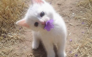 65 Adorable Posts That Might Restore Your Faith In The Little Things In Life