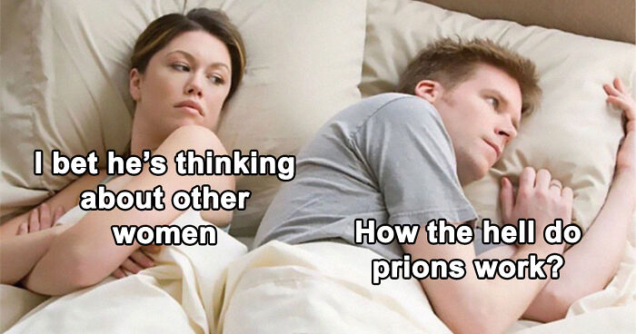 Couple in bed funny biology meme about thinking how prions work