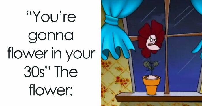 75 Random Memes That Are Way Too Accurate To Be This Funny