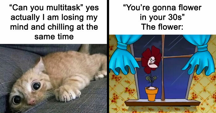 75 Random Memes That Are Way Too Accurate To Be This Funny