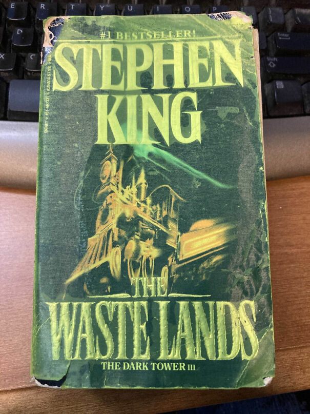 dark_tower_the_waste_lands-6ad72d19a5dd9.jpg
