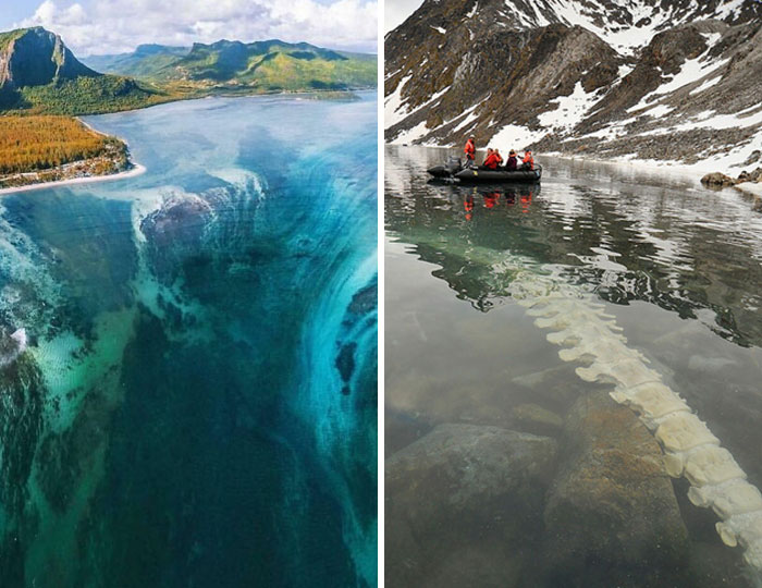 89 Terrifying Pictures That Prove The Ocean Is Scarier Than You Think