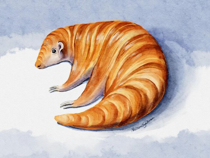 Orange armadillo-like creature watercolor art from Nelson Syndrome animal-filled parodies.
