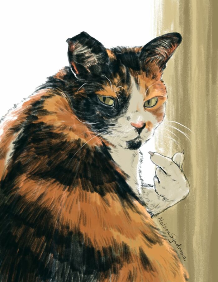 Grumpy calico cat making a gesture, a characteristic Nelson Syndrome pet portrait