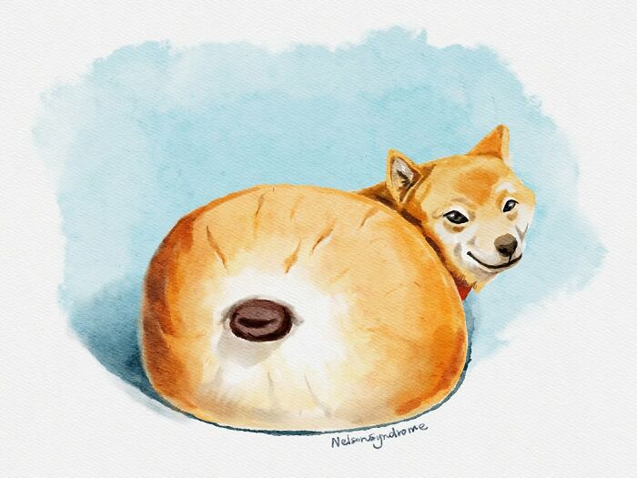 Shiba Inu resembling a round bakery bun, a whimsical Nelson Syndrome digital drawing