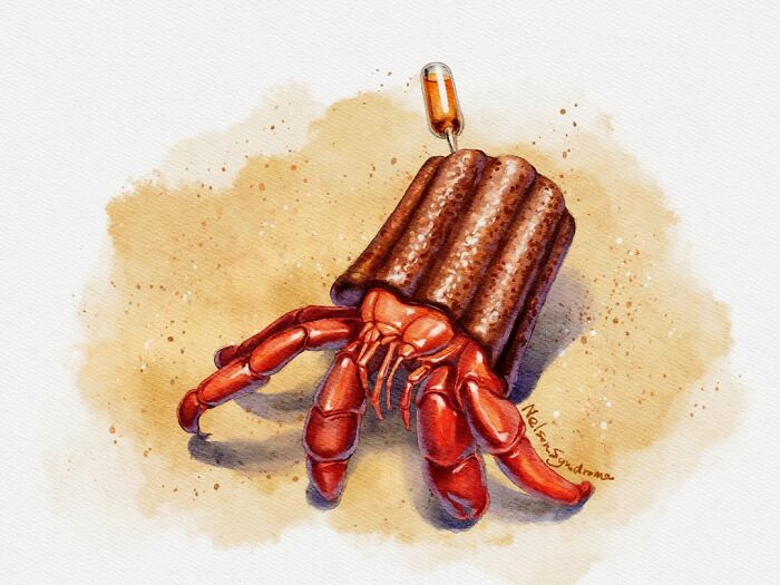 Watercolor of a hermit crab in a pastry shell, a playful Nelson Syndrome illustration