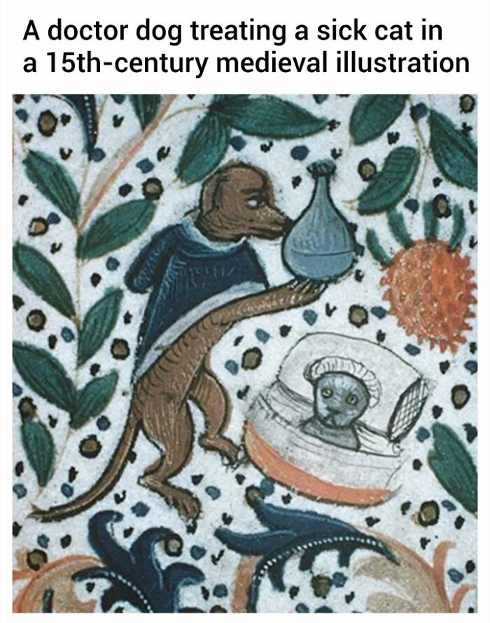 A medieval illustration of a doctor dog and a sick cat used for hilarious memes