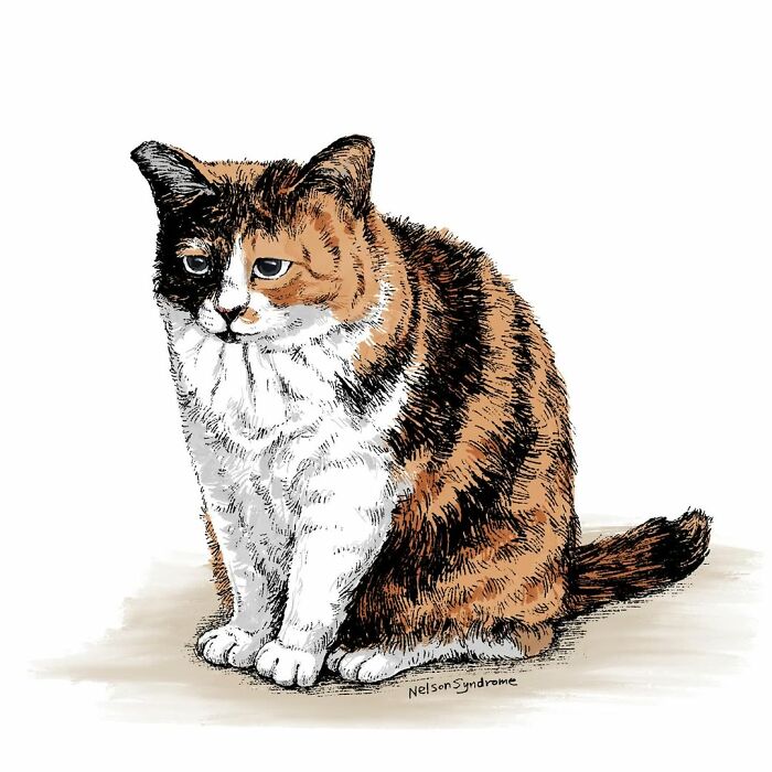An illustration by Nelson Syndrome of a sad tricolor calico cat sitting down