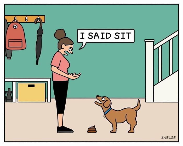 Funny comics featuring dogs being dogs: A dog owner yells I said sit as her dog stands next to fresh p**p.
