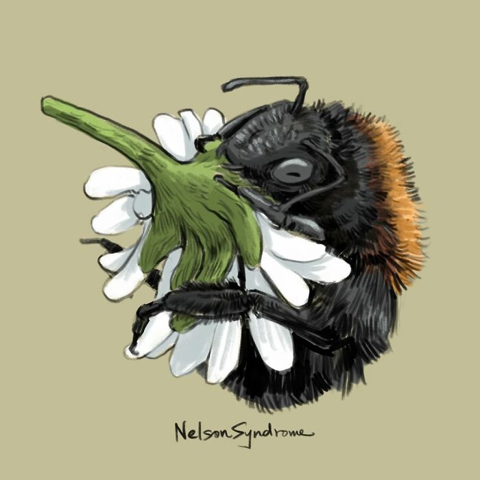 A fluffy bumblebee illustration by Nelson Syndrome hugging a white daisy flower