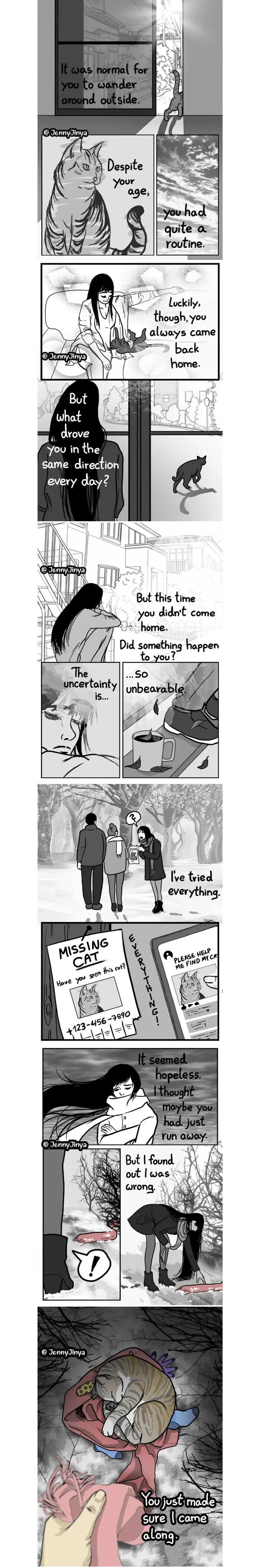 Cat comic about lost pet wandering and owner searching in emotional animal comics