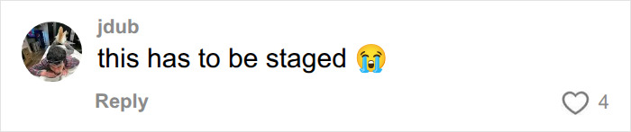 Online comment questioning if looksmaxxing camp content is staged Online comment questioning if looksmaxxing camp content is staged