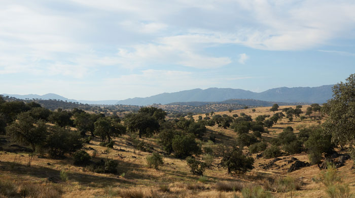 The scenic nature reserve landscape where Marcos Rodríguez Pantoja was raised by wolves The scenic nature reserve landscape where Marcos Rodríguez Pantoja was raised by wolves