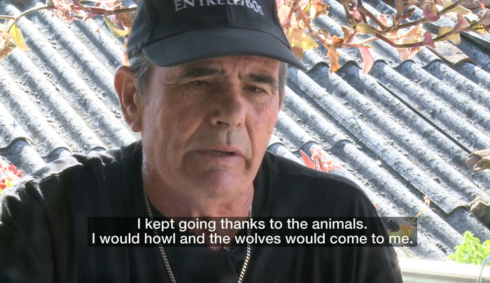 Marcos Rodríguez Pantoja reflecting on his life being raised by wolves Marcos Rodríguez Pantoja reflecting on his life being raised by wolves