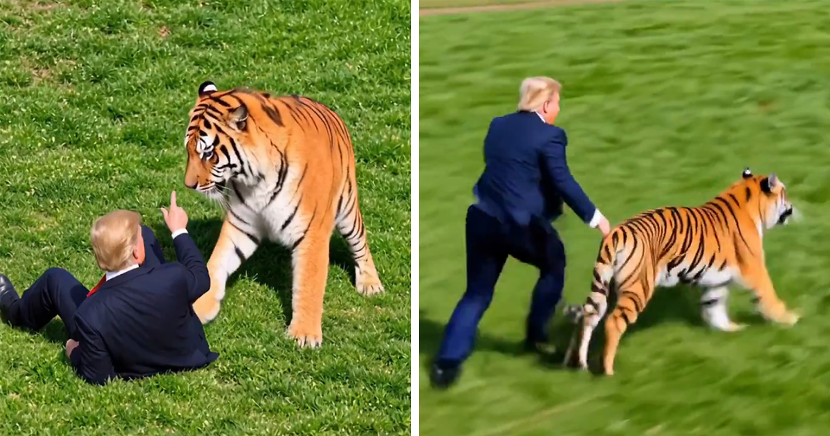 Trump shares AI tiger video after fatal attack