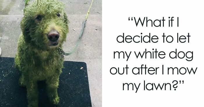 68 Photos Of Decisions So Questionable You’ll Want To Ask What The Thought Process Was