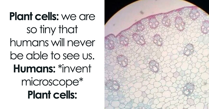 Brainy Biology Memes For Those Who Love A Little Dose Of Science Daily (67 Posts)
