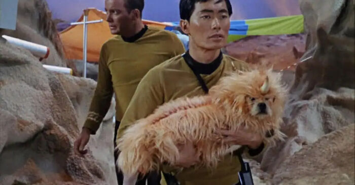 George Takei holds a small dog in a costume as a movie prop in Star Trek.
