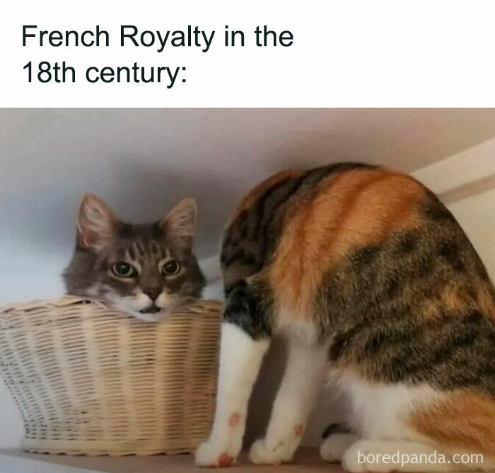 Humorous cat meme captioned French Royalty in the 18th century with a cat's head stuck in a basket