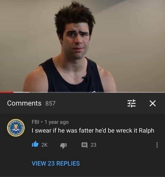 Comment about Wreck It Ralph representing one of many funny and oddly accurate insults online