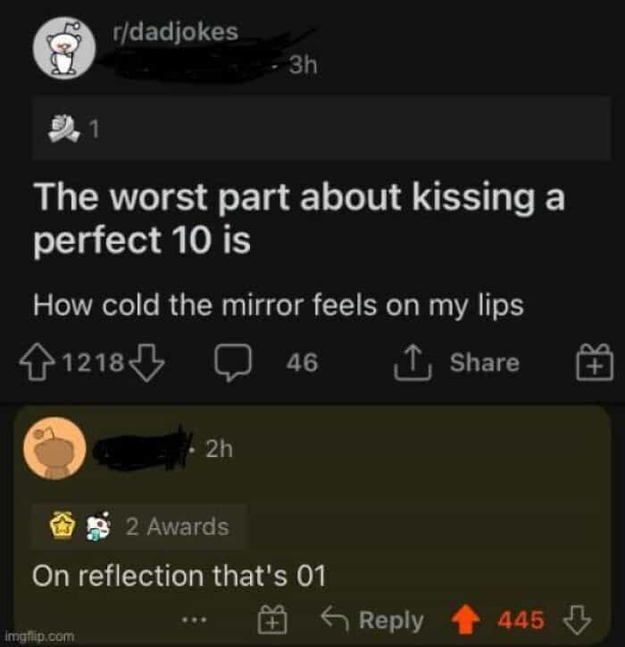 A Reddit post about a self-deprecating dad joke, serving as a funny and oddly accurate insult.