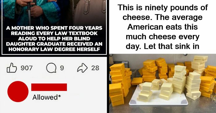 44 Times Online Know-It-Alls Tried To Fact-Check Someone And Got Fact-Checked Instead