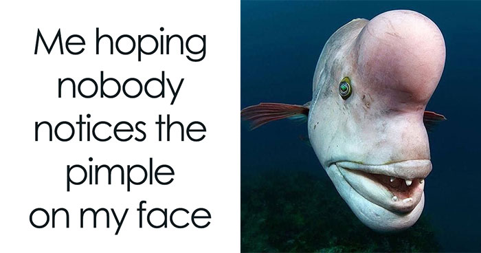 76 Relatable Female Memes That Prove We’re All Just Trying To Figure Life Out
