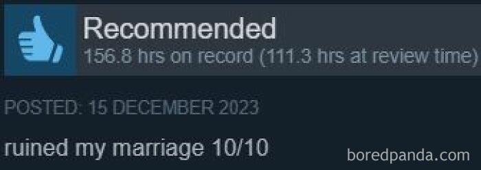 Entertaining Steam review jokingly stating the game ruined my marriage