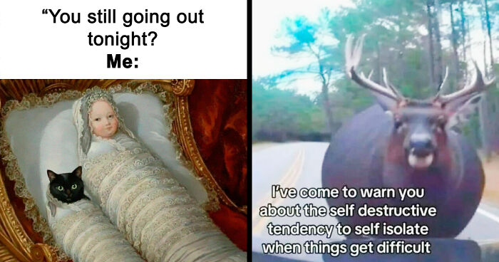 87 Memes So Relatable You Might Think Someone Made Them Specifically For You (New Pics)