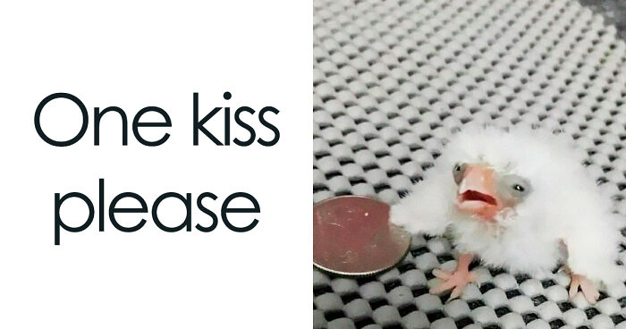 87 Memes So Relatable You Might Think Someone Made Them Specifically For You (New Pics)