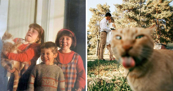 “Awkward Family Photos” Shared 39 Hilarious Family Pictures In Which Cats Stole The Spotlight